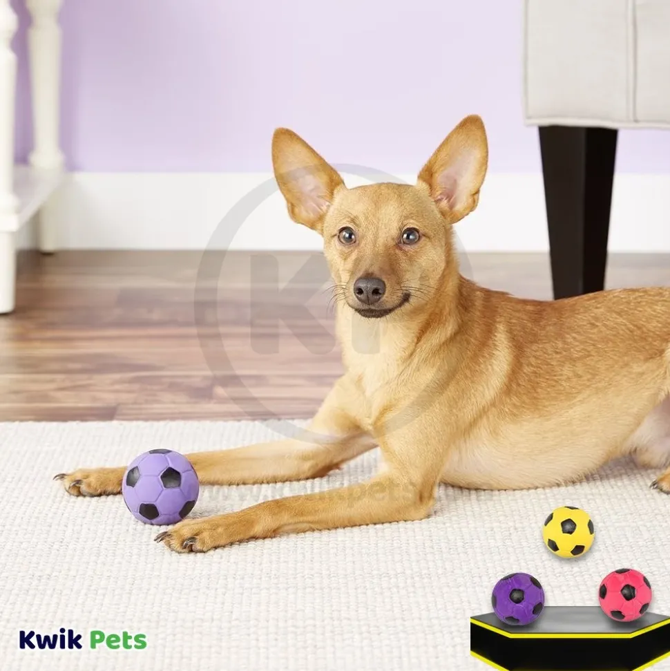 Spot Latex Soccer Ball Dog Toy Assorted 2-in