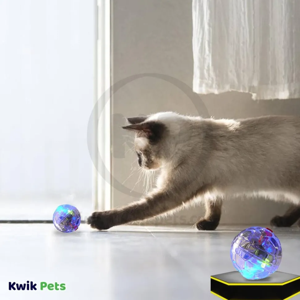 Spot LED Motion Activated Ball Cat Toy Multicolor