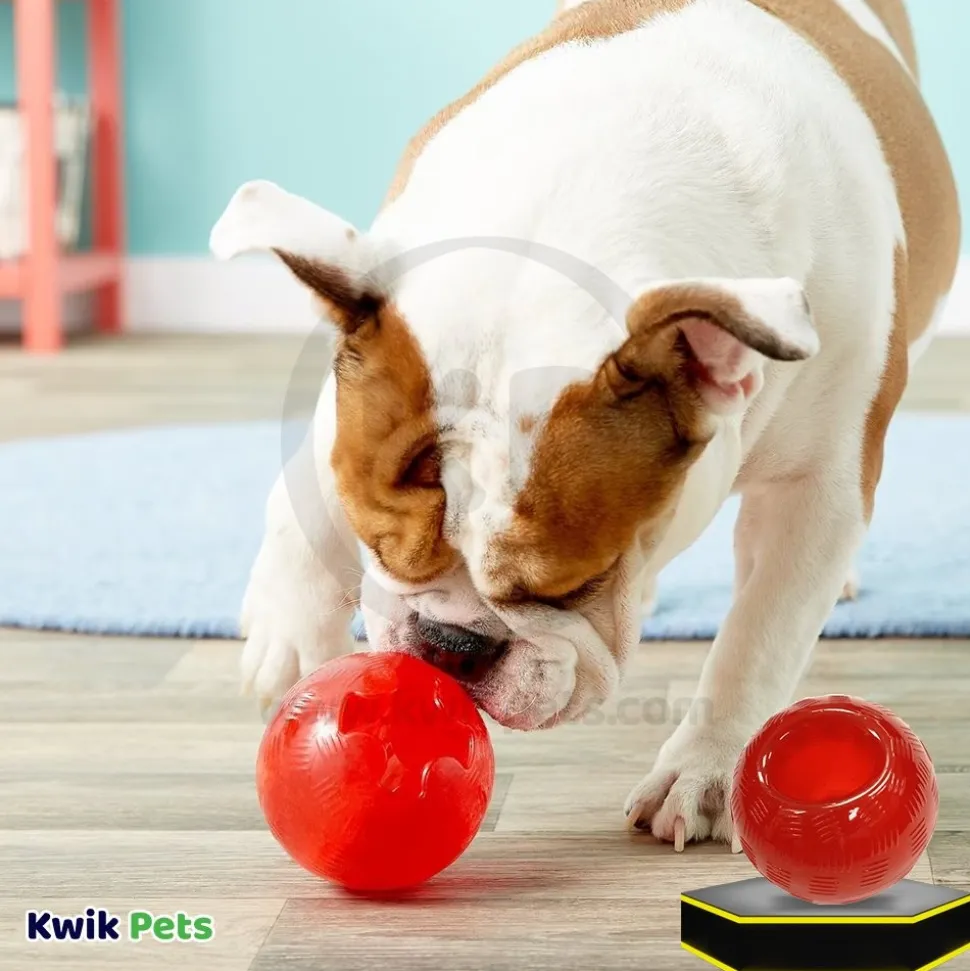 Spot Play Strong Ball Dog Toy Large 3.75-in