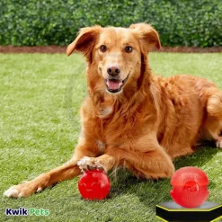 Spot Play Strong Ball Dog Toy Medium 3.25-in