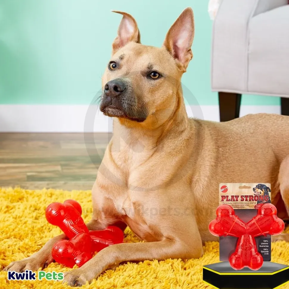 Spot Play Strong Dog Toy Trident 6-in