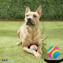 Spot Sensory Ball Dog Toy Assorted Medium 3.25-in