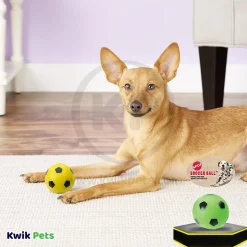 Spot Soccer Ball Dog Toy Assorted 3-in