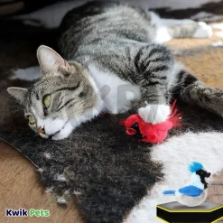 Spot Songbird Cat Toy with Catnip Assorted 5-in