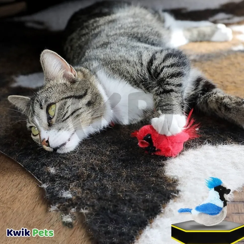 Spot Songbird Cat Toy with Catnip Assorted 5-in