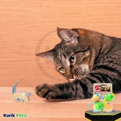 Spot Stringy Mice & Ball Cat Toy with Catnip Assorted 4 Count 2-in