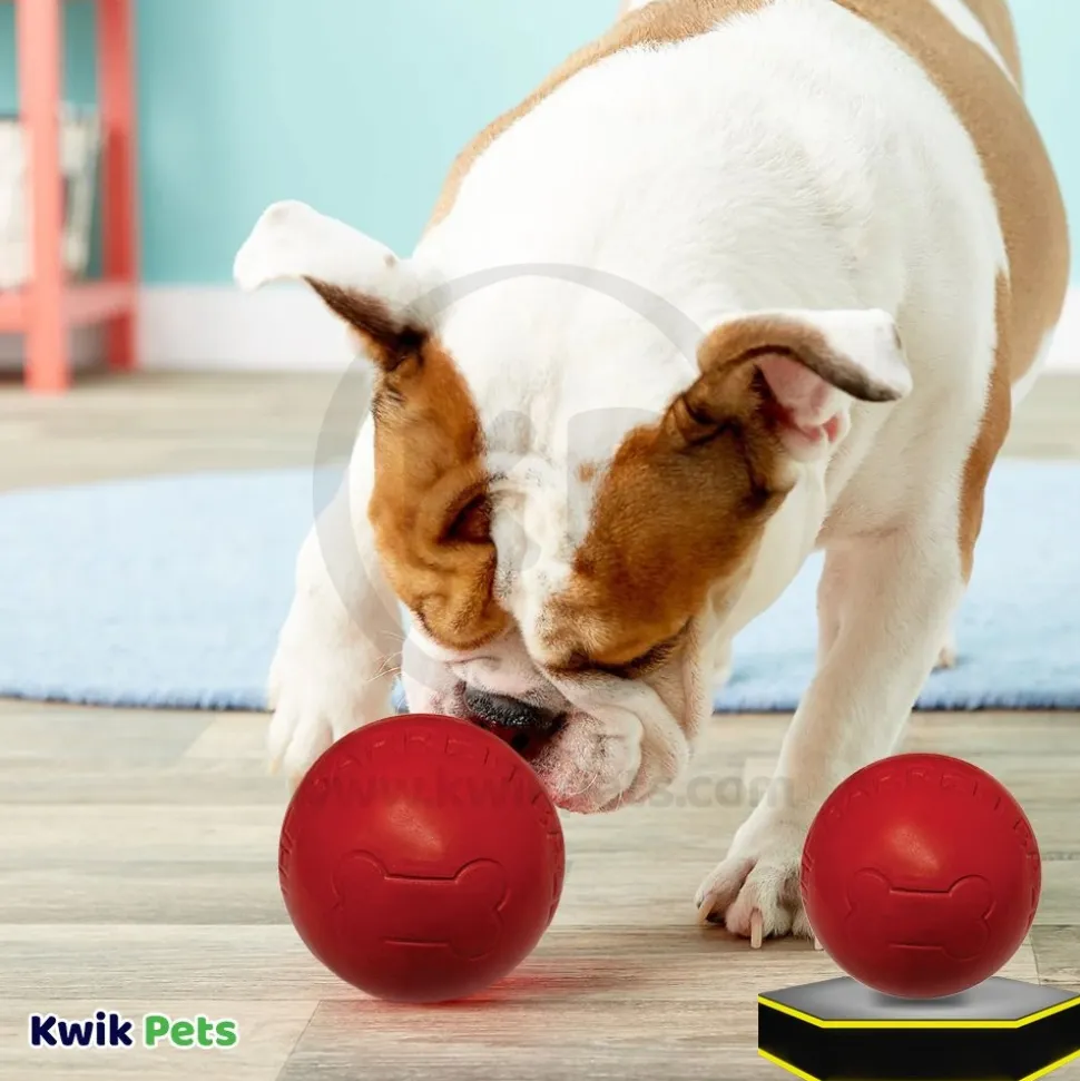 Spot The Barrett Ball Dog Toy Red Small 2.5-in