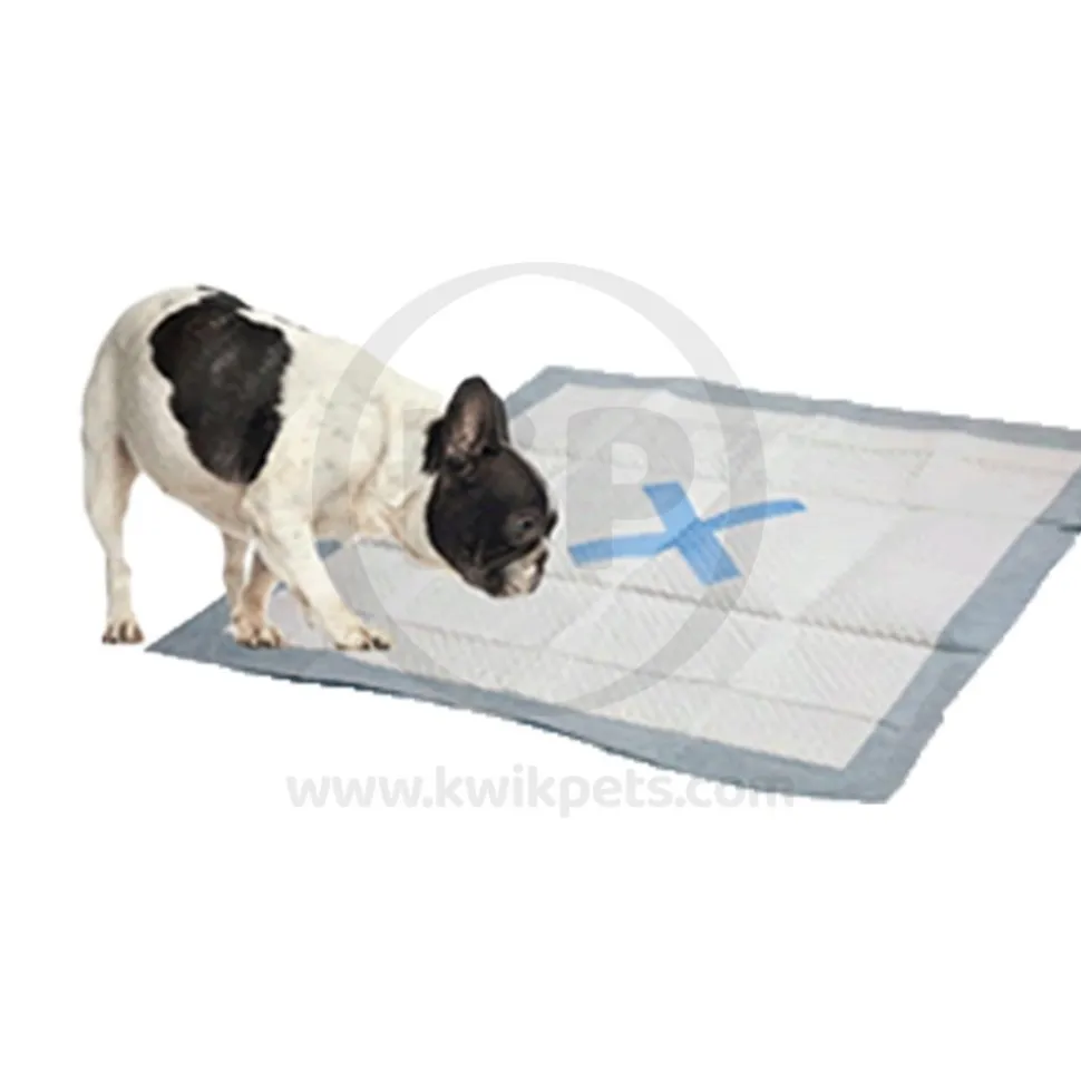 Spot X Marks The Spot Puppy Training Pads 50 Count 22 in X 22 in