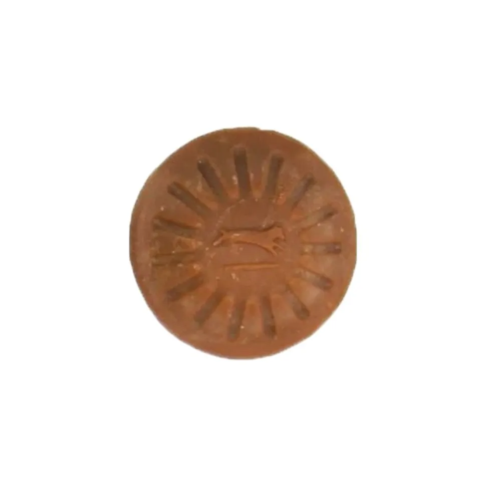 Starmark Everlasting Dog Treat Barbeque Small 1.2-oz