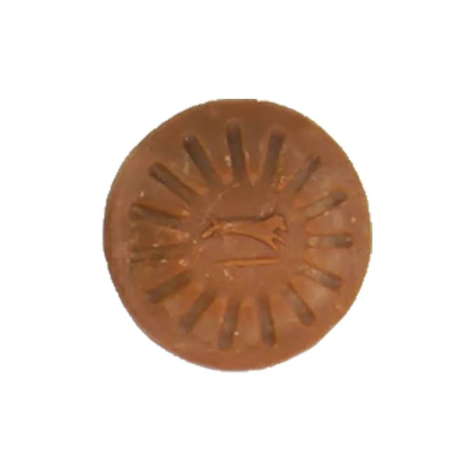Starmark Everlasting Dog Treat Barbeque Large 7-oz