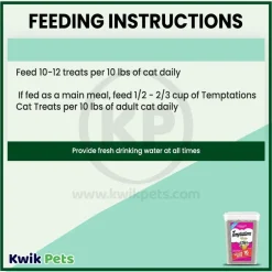 Temptations Classics Crunchy & Soft Adult Cat Treats Blissful Catnip 16-oz