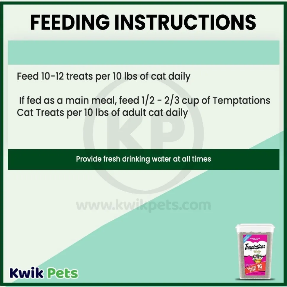 Temptations Classics Crunchy & Soft Adult Cat Treats Blissful Catnip 16-oz