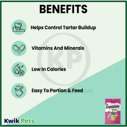 Temptations Classics Crunchy & Soft Adult Cat Treats Blissful Catnip 3-oz