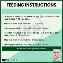 Temptations Kitten Cat Treat Salmon & Dairy 3-oz