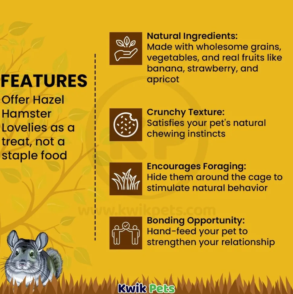 Tiny Friends Farm Hazel Hamster Lovelies Baked Treats with Banana Strawberry & Apricot 4.2-oz
