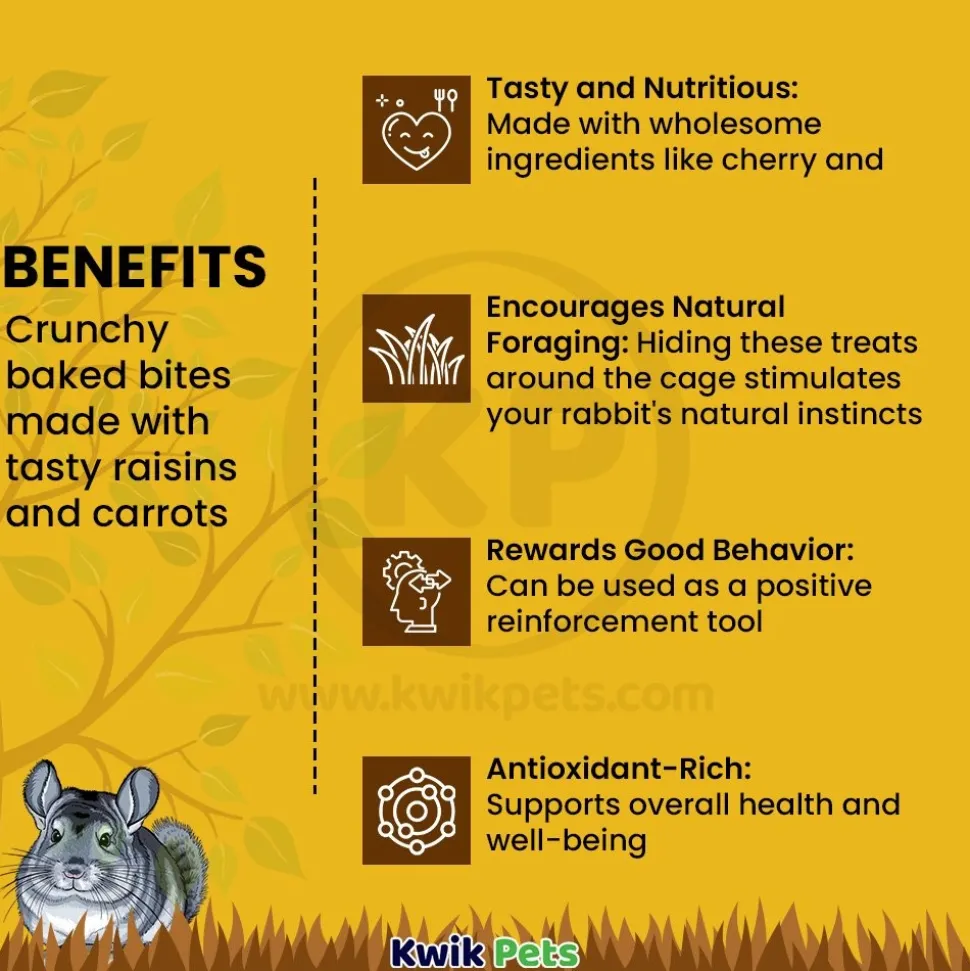 Tiny Friends Farm Russel Rabbit Fruities Baked Treats with Cherry & Apricot 4.2-oz