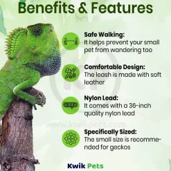 T-Rex Reptile Comfort Leash Small