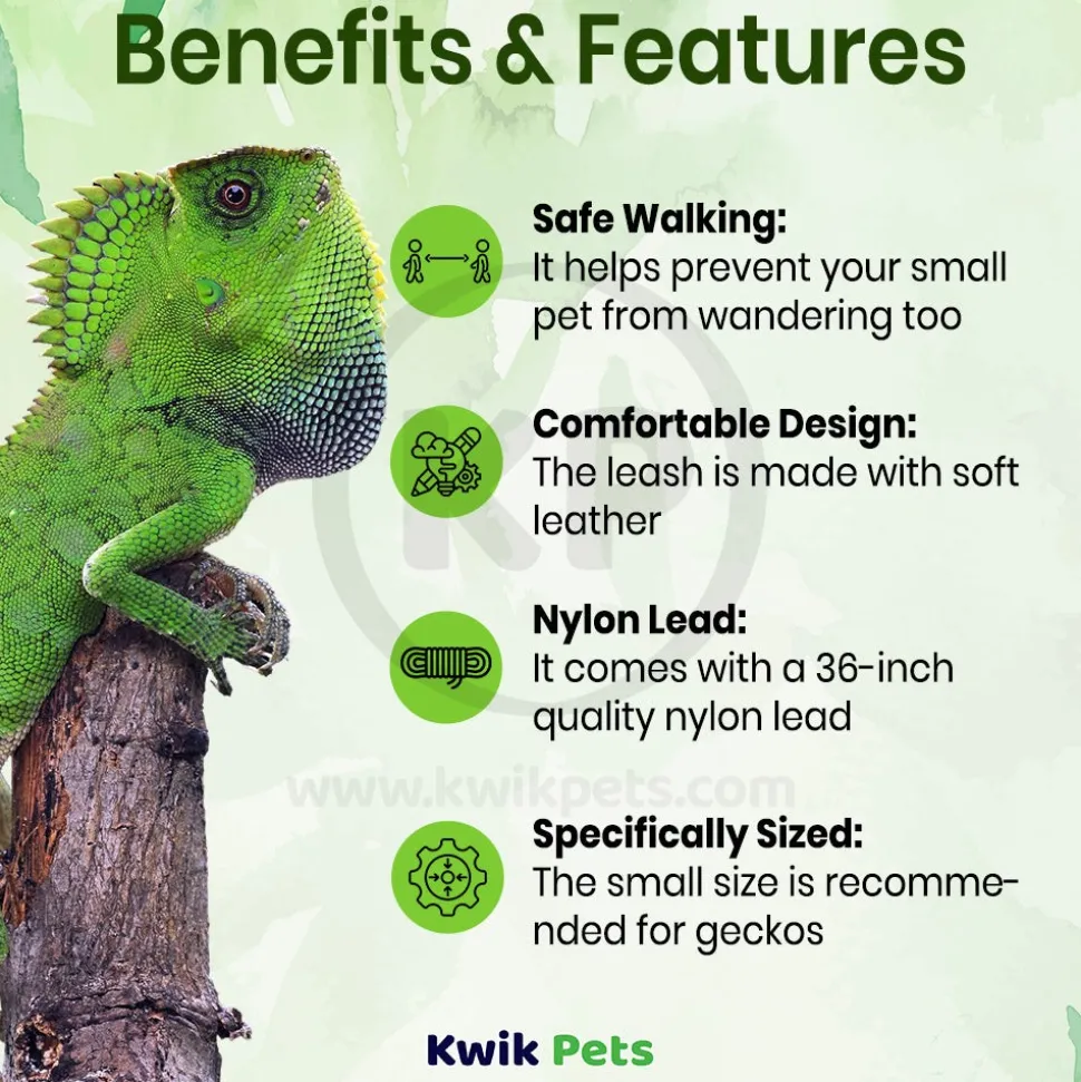 T-Rex Reptile Comfort Leash Small