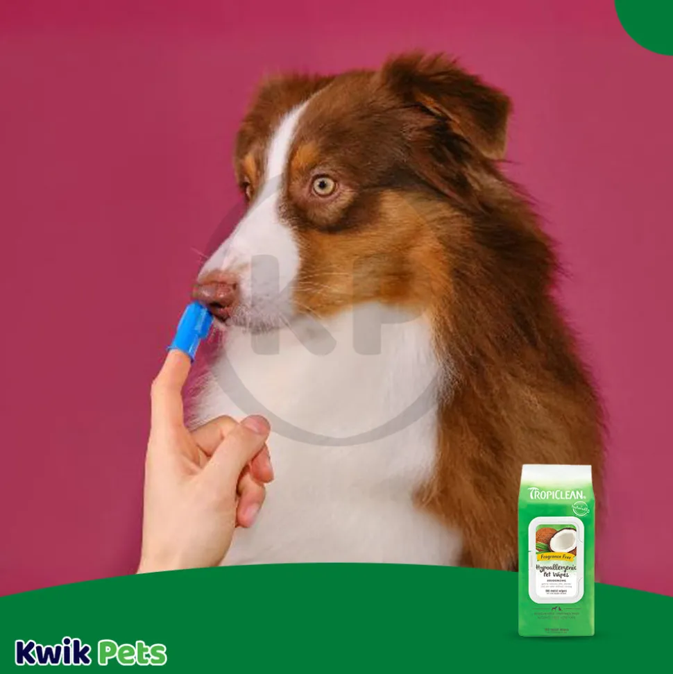 TropiClean Fresh Breath Finger Brushes for Dogs 2 Count