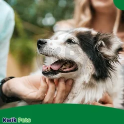 TropiClean Fresh Breath Oral Care Water Additive Plus Hip & Joint for Dogs 16-oz
