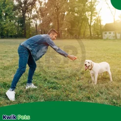 TropiClean Fresh Breath Oral Care Water Additive Plus Hip & Joint for Dogs 33.8-oz