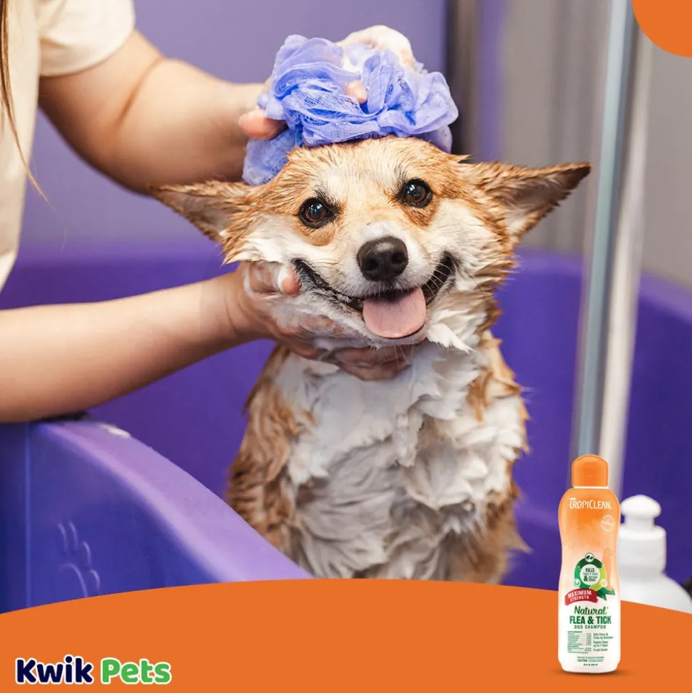 TropiClean Natural Flea & Tick Maximum Strength Shampoo for Dogs 20-oz
