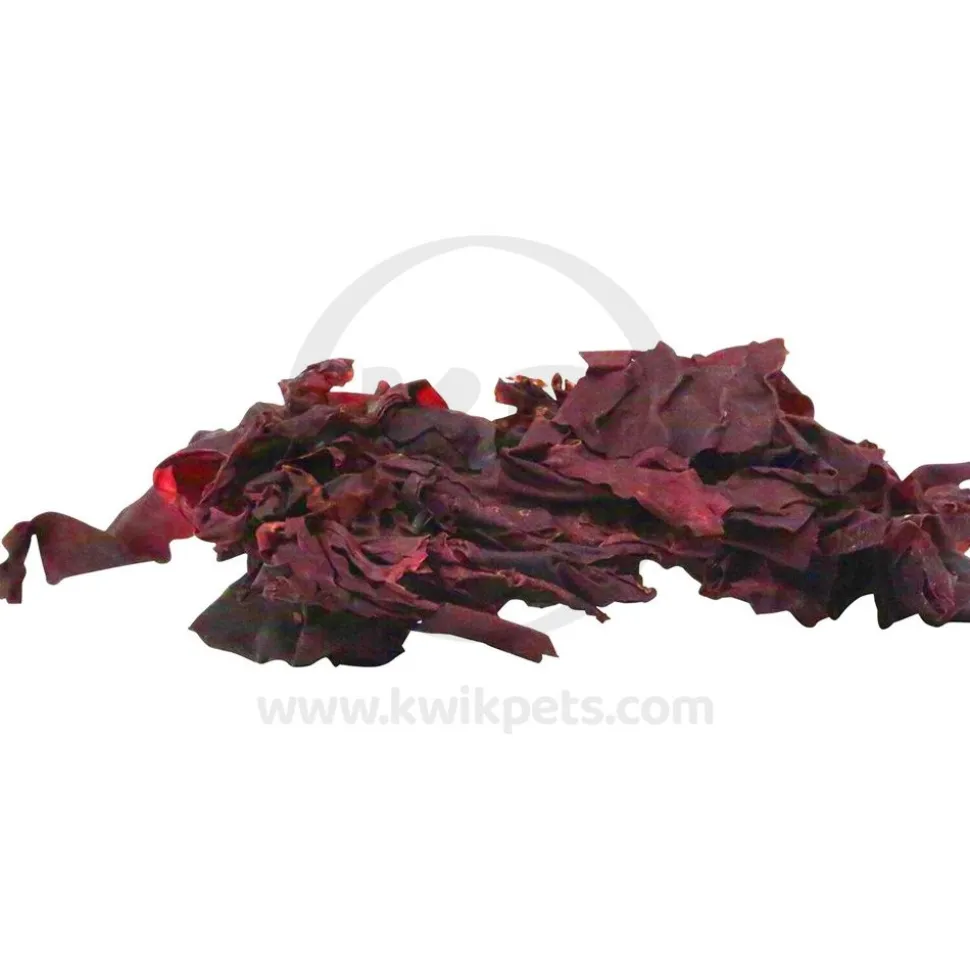Two Little Fishies Julian Sprung's Seaveggies Red Seaweed Fish Food 0.4-oz
