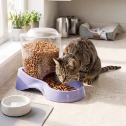 Van Ness Plastics Auto Pet Feeder Assorted Small 3-lb