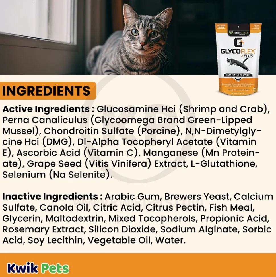 VetriScience Glycoflex Plus Hip & Joint Support Cat Chews Fish Flavor 30 Count
