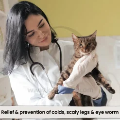 VetRx Cat & Kitten Remedy Respiratory Support Solution 2-oz