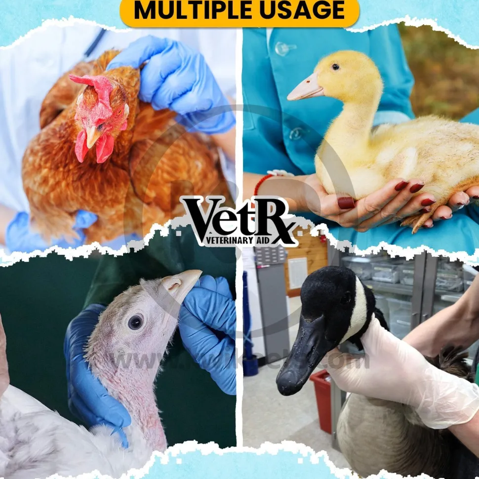 VetRx Poultry Aid Respiratory Support Solution 2-oz
