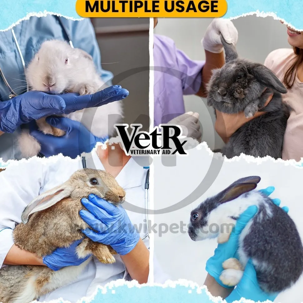 VetRx Rabbit Aid Respiratory Support Solution 2-oz