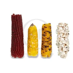 Vitakraft Mini-Pop Small Animal Cob Treats 3 Count 6-oz