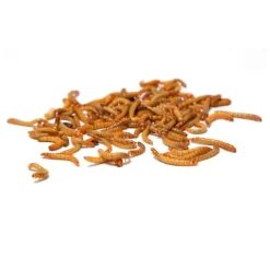 Volkman Seed Company Mealworms Chicken Food 10-oz