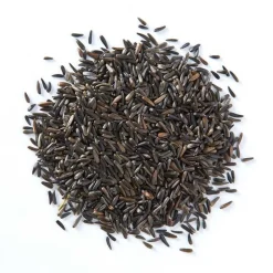 Volkman Seed Company Premium Single Seed Nyjer Bird Food 4-lb
