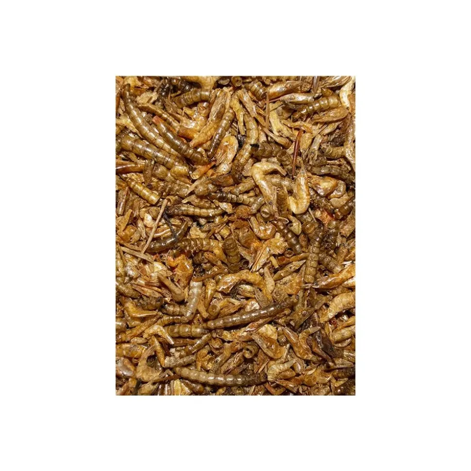 Volkman Seed Company Shrimp & Mealworm Medley Chicken Treat 1.25-lb