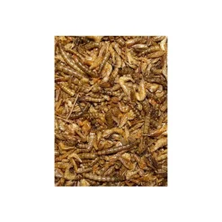Volkman Seed Company Shrimp & Mealworm Medley Chicken Treat 10-oz