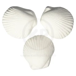 Weco Products Wonder Shell Natural Minerals Aquarium Water Conditioner Small 3 Count