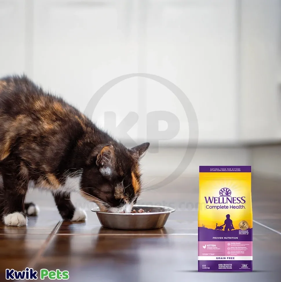 Wellness Complete Health Grain-Free Kitten Dry Cat Food Deboned Chicken & Chicken Meal Recipe 5.5-lb