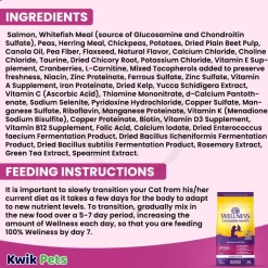Wellness Complete Health Grain-Free Indoor Adult Dry Cat Food Salmon & Herring Meal Recipe 5.5-lb