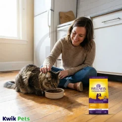 Wellness Complete Health Grain-Free Indoor Adult Dry Cat Food Salmon & Herring Meal Recipe 5.5-lb
