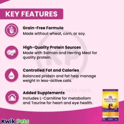 Wellness Complete Health Grain-Free Indoor Adult Dry Cat Food Salmon & Herring Meal Recipe 5.5-lb