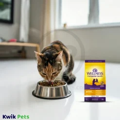 Wellness Complete Health Grain-Free Indoor Adult Dry Cat Food Deboned Chicken & Chicken Meal Recipe 5.5-lb