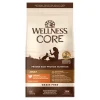 Wellness CORE Grain-Free Adult Dry Cat Food Original Deboned Turkey, Turkey Meal & Chicken Meal Recipe 5-lb