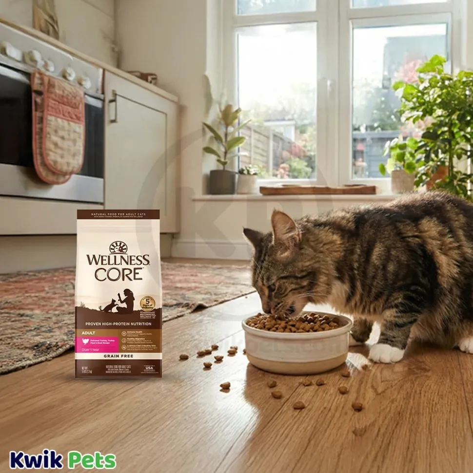 Wellness CORE Grain-Free Adult Dry Cat Food Turkey, Turkey Meal & Duck Recipe 5-lb
