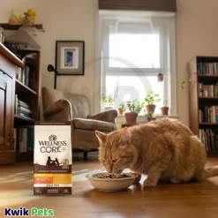 Wellness CORE+ Grain-Free Indoor Adult Dry Cat Food Deboned Chicken, Turkey & Chicken Meal Recipe 5-lb
