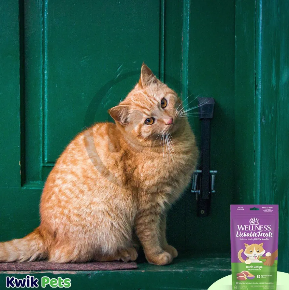Wellness Puree Natural Grain-Free Lickable Cat Treats Duck 6 Count 2.53-oz