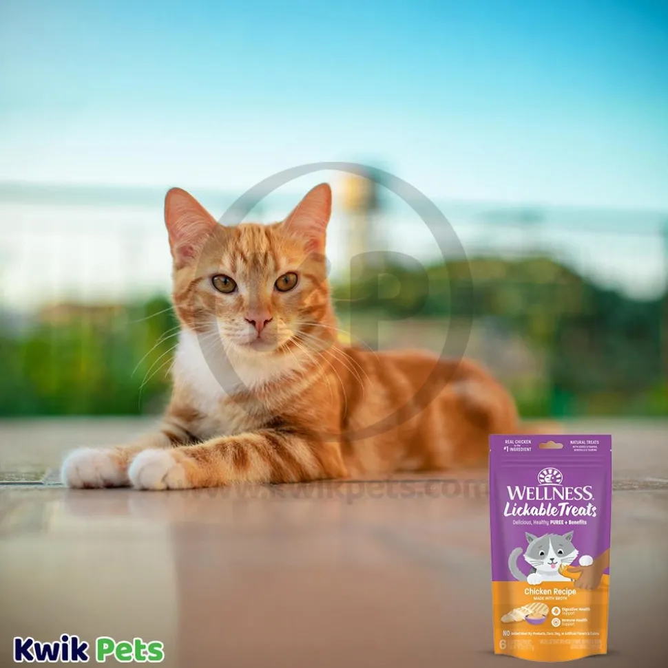 Wellness Puree Natural Grain-Free Lickable Cat Treats Chicken 6 Count 2.53-oz