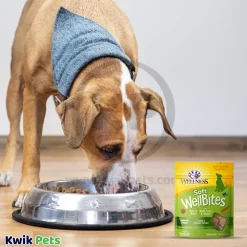 Wellness Soft WellBites Grain-Free Natural Dog Treats Lamb & Salmon 6-oz
