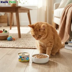 Weruva B.F.F. OMG Chicken Cloud 9 Dinner in Gravy Wet Cat Food 5.5-oz